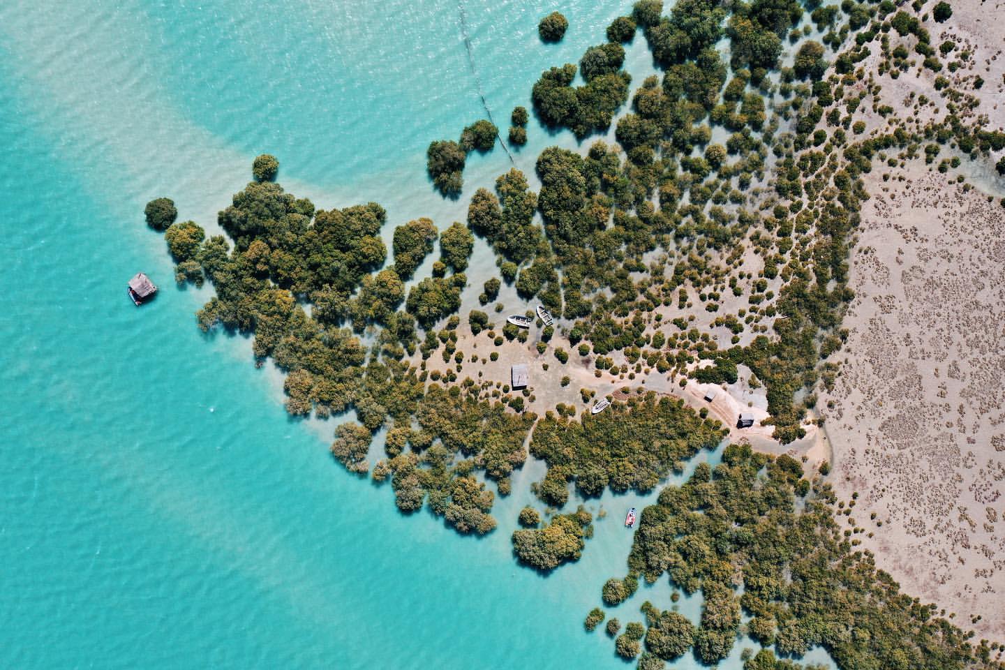 عکس/ جزیره مَردو،جنگل های حرای بندر خمیر