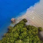 تالاب خورخوران بندر خمیر - عکاس مصطفی اسدبیگی