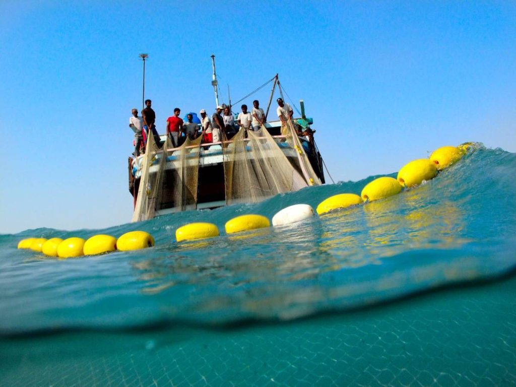 گنجینه پنهان خلیج فارس؛ تصاویر شگفت‌انگیز از دنیای زیر آب هرمزگان