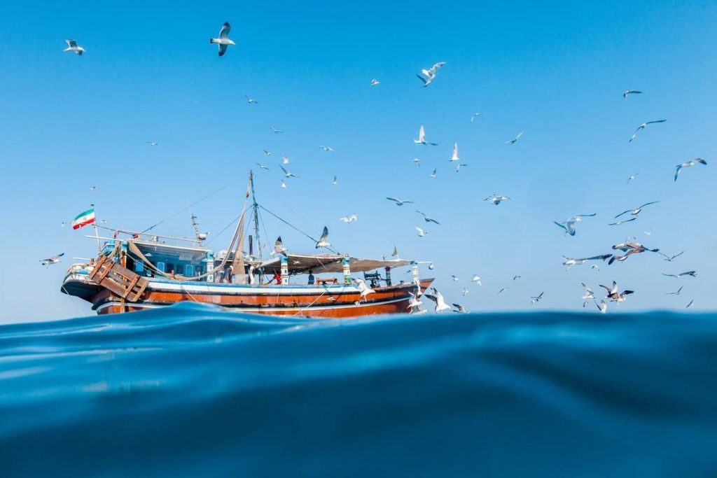 گنجینه پنهان خلیج فارس؛ تصاویر شگفت‌انگیز از دنیای زیر آب هرمزگان