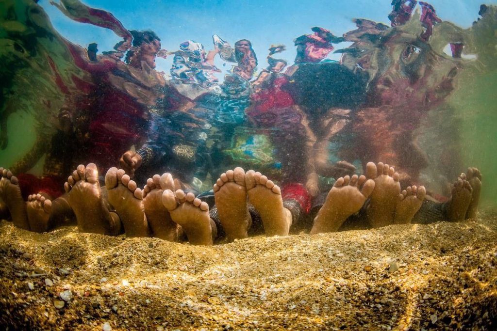 گنجینه پنهان خلیج فارس؛ تصاویر شگفت‌انگیز از دنیای زیر آب هرمزگان